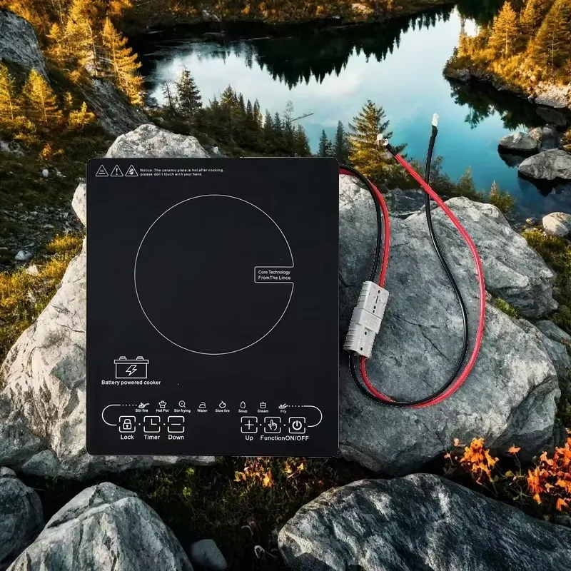 Single 24V/48V Solar DC Induct - огляд і ціна Solar Panel